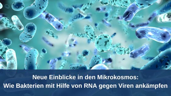 Neue Einblicke in den Mikrokosmos: Wie Bakterien mit Hilfe von RNA gegen Viren ankämpfen